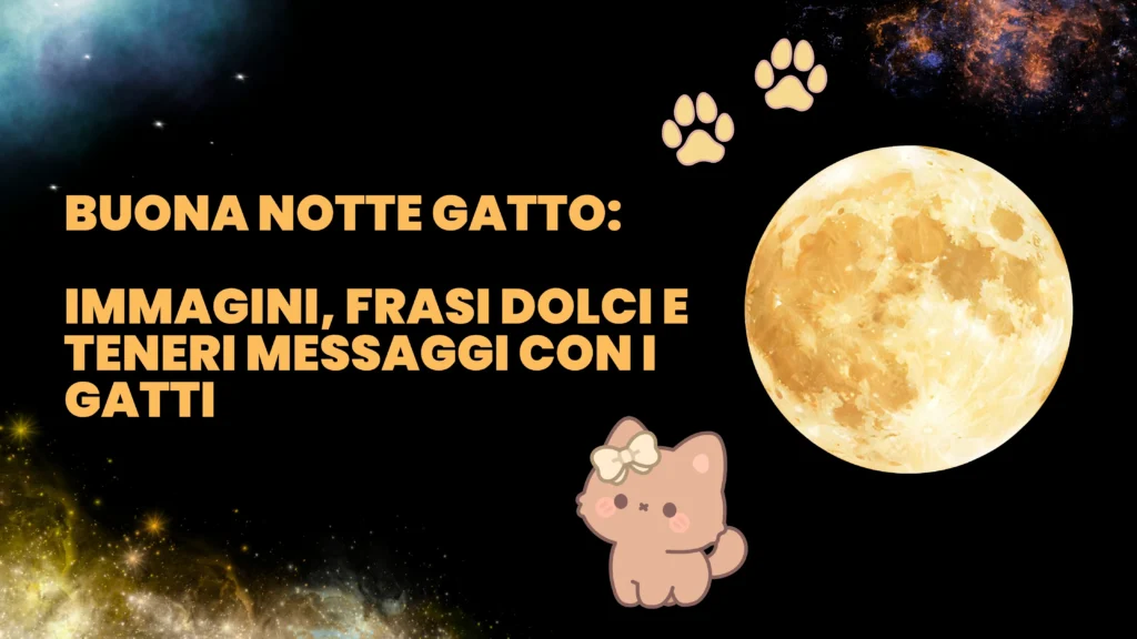 Buonanotte gatto: immagini, frasi dolci e messaggi teneri con i gatti